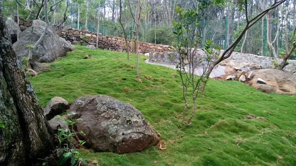 The Brook - Resorts & Spa - Yercaud - фото 29