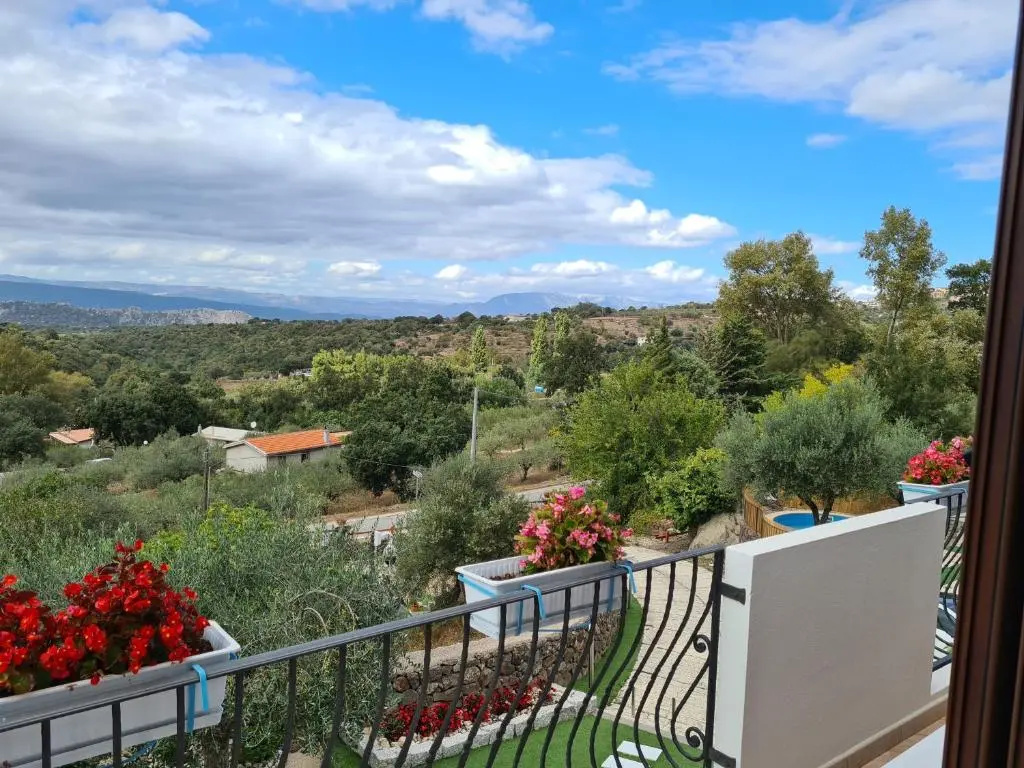 Standard Double room with mountain view full double bed