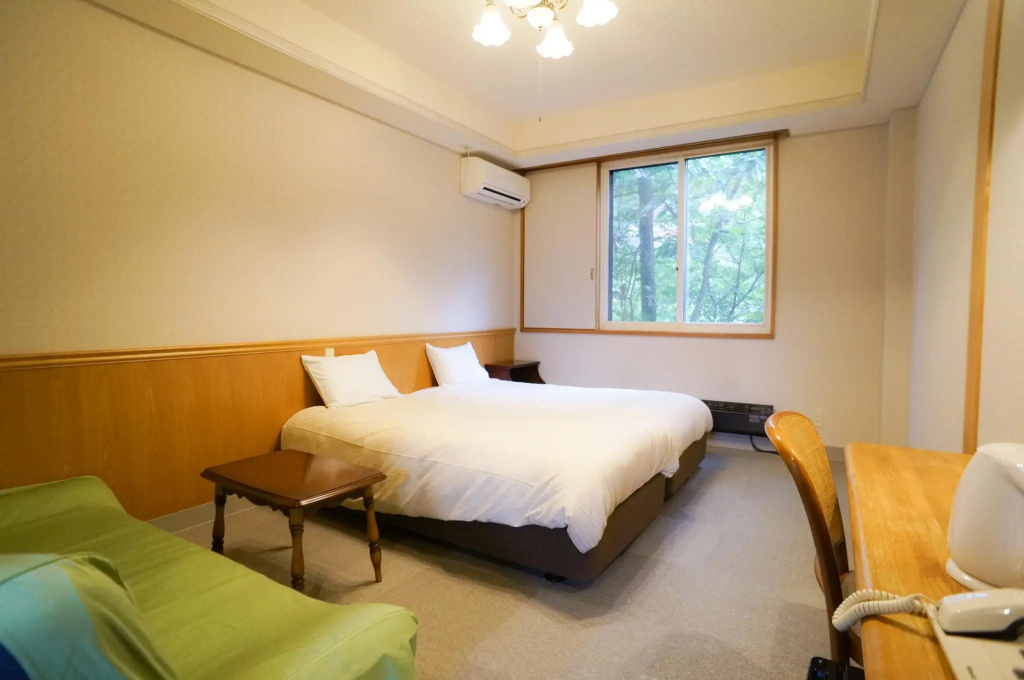Standard Double room (twin beds)