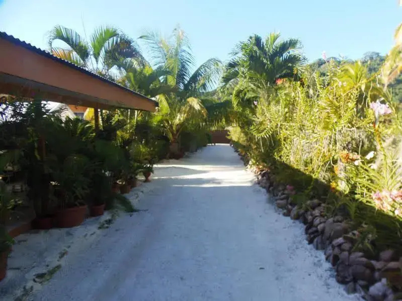Pension Fare Ara Huahine - Général