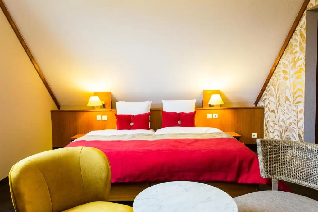 James Vignoble Hotel - Eguisheim - Chambres