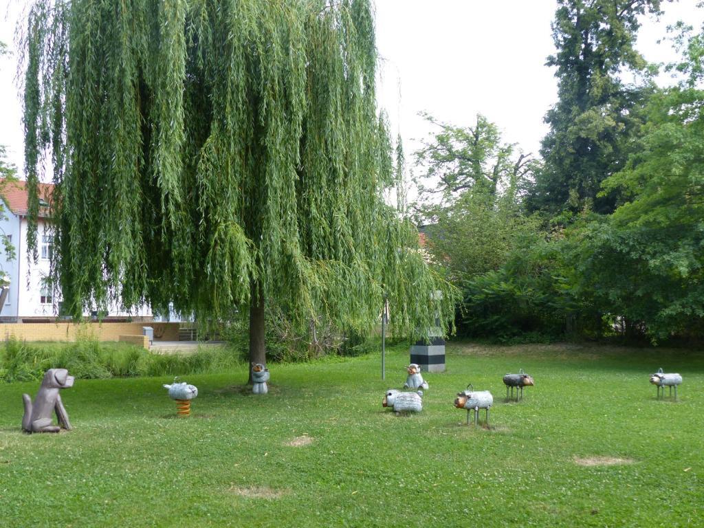 Image 13