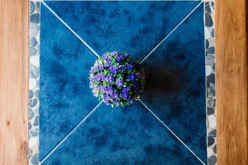 Bed And Breakfast Lezaeta