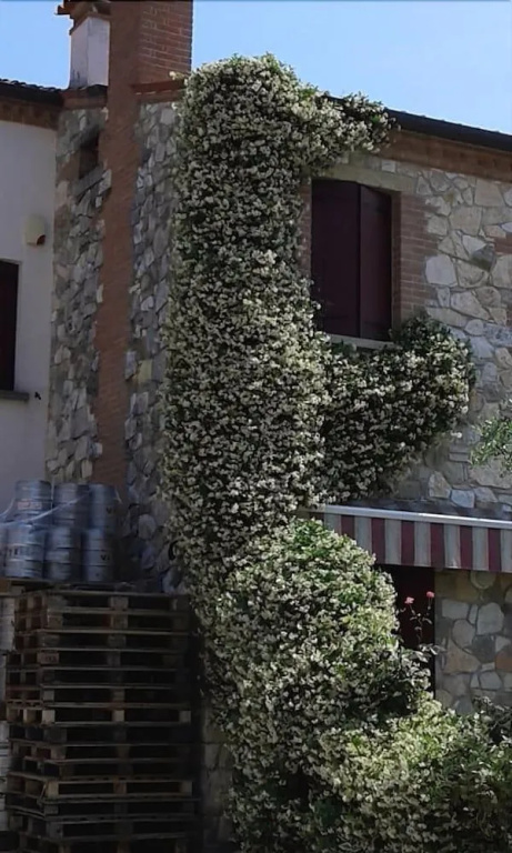 Residence Tenuta Gambalonga