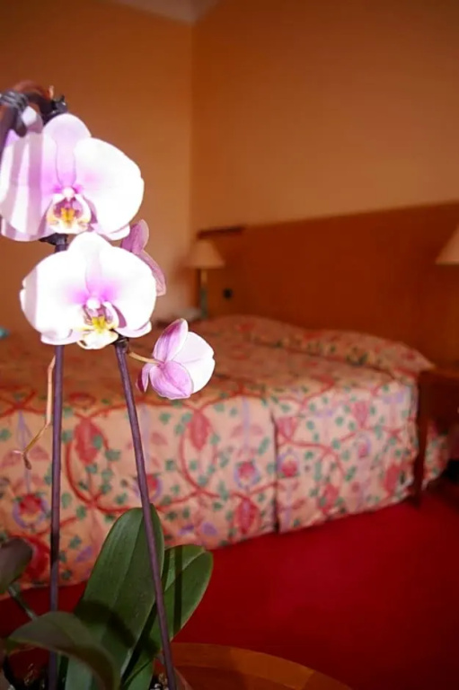 Hotel Aletti Palace - Chambres