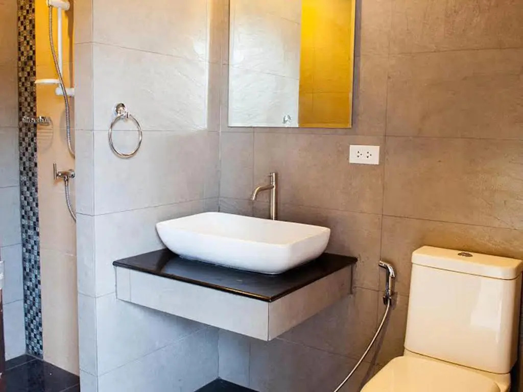 Deluxe Double room (full double bed)