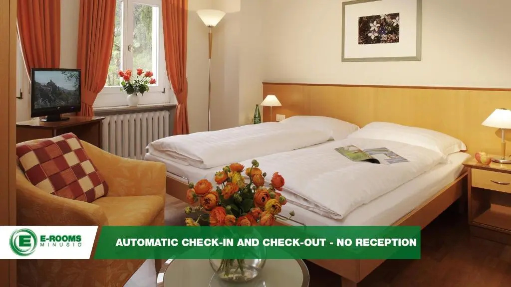 E-Rooms Minusio - Chambres