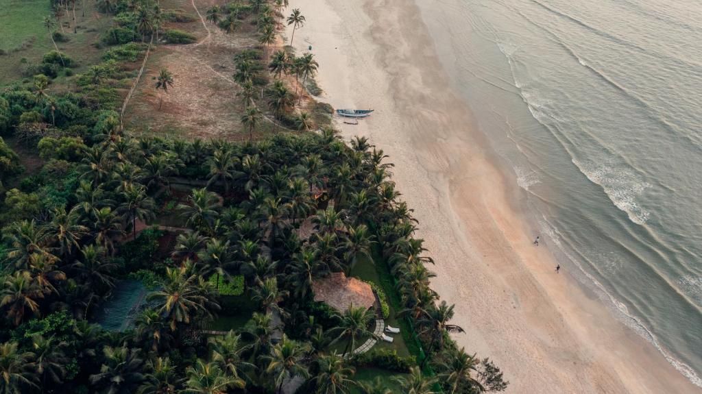 Planet Hollywood Goa Beach Resort