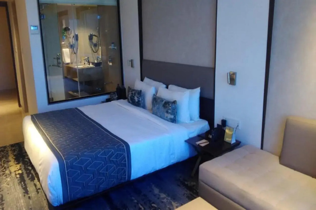 Sayaji Vadodara - фото 7