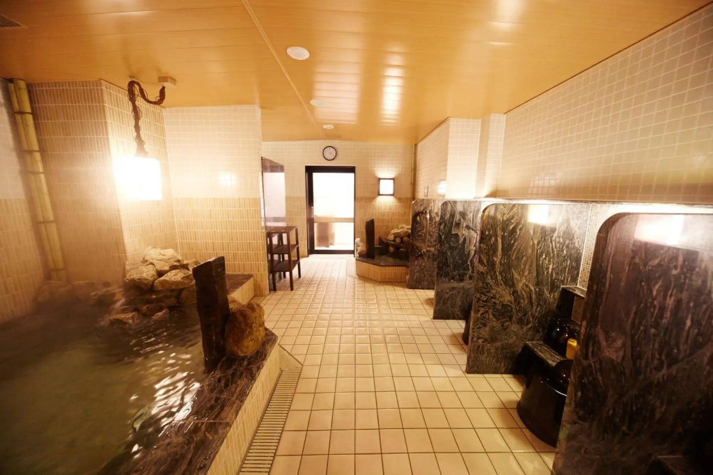 Dormy Inn Premium Nagoya Sakae Natural Hot Spring - Général