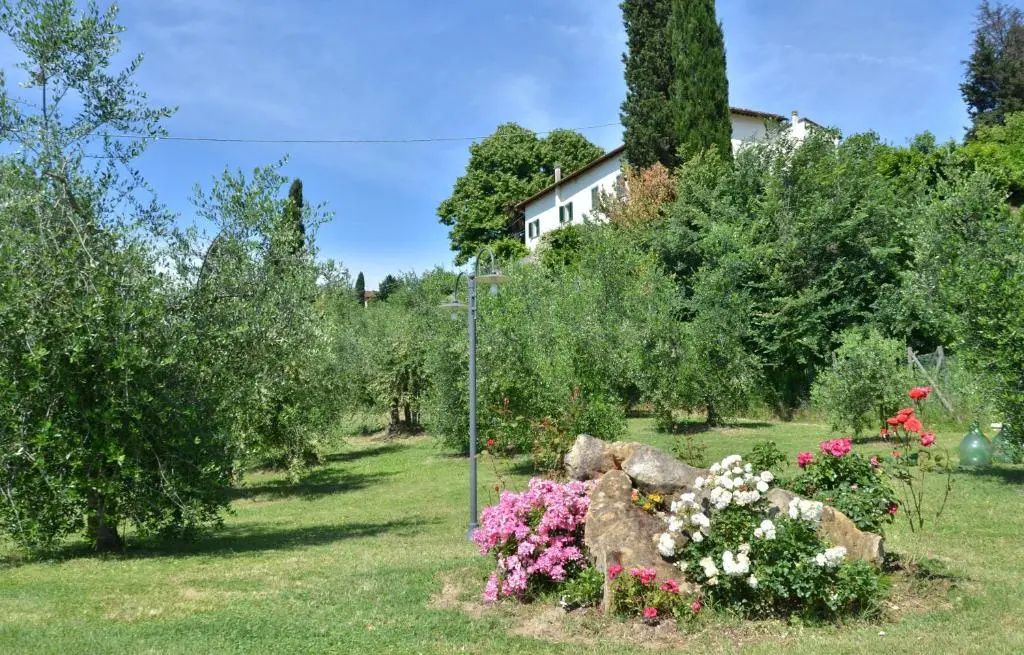 Villa Buonaparte