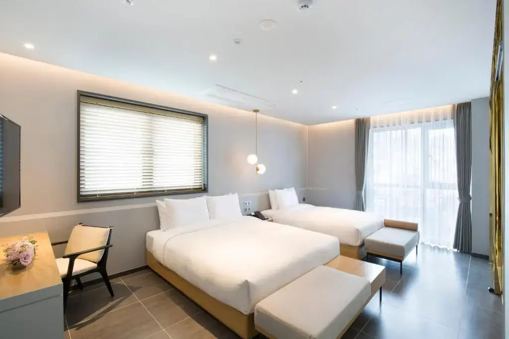 Deluxe Double room (twin beds)