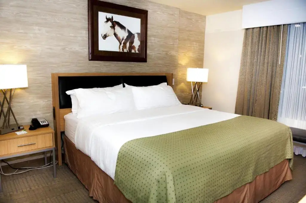 Holiday Inn Spearfish - Convention Center by IHG - Chambres