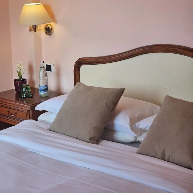 Standard Double room with balcony and with lake view (full double bed)