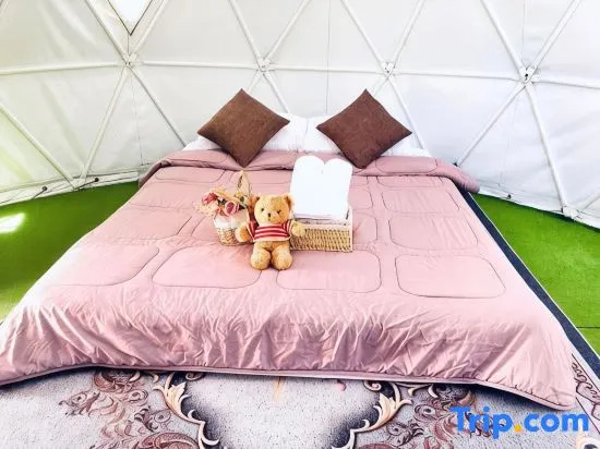 Phuchifa Sky Camp