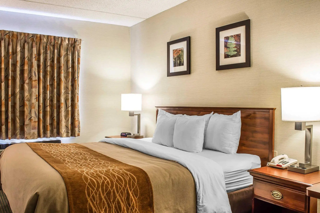 Comfort Inn & Suites Wilkes Barre - Arena - Chambres
