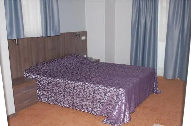 Central Hotel Strumica - Général