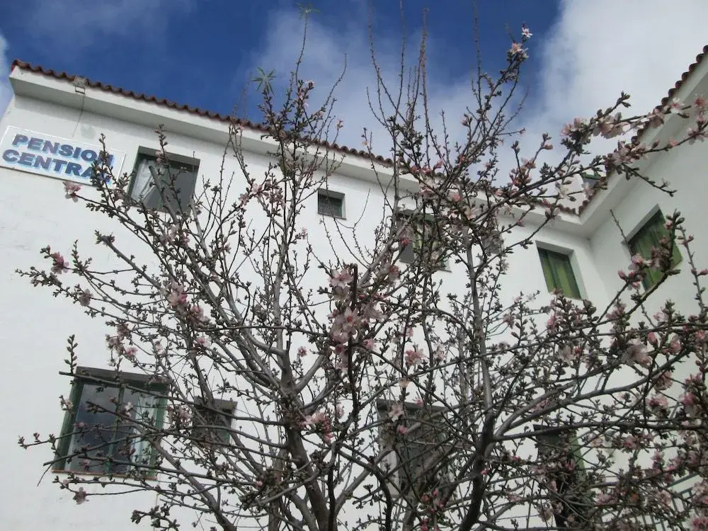 La Palma Hostel - Pensión Central