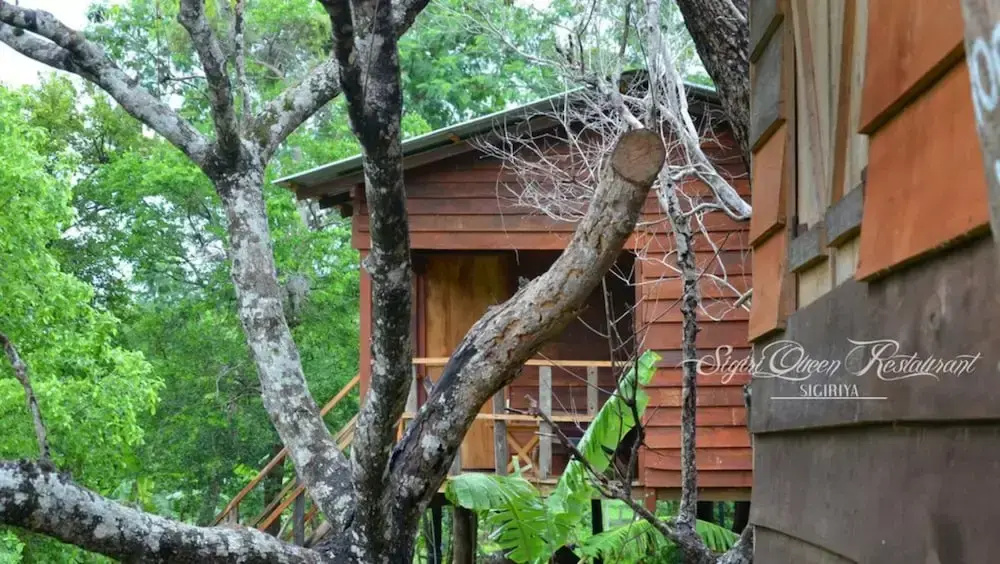 Tree house sigiri queens rest