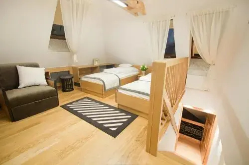 Villa Alina Medical SPA - Général
