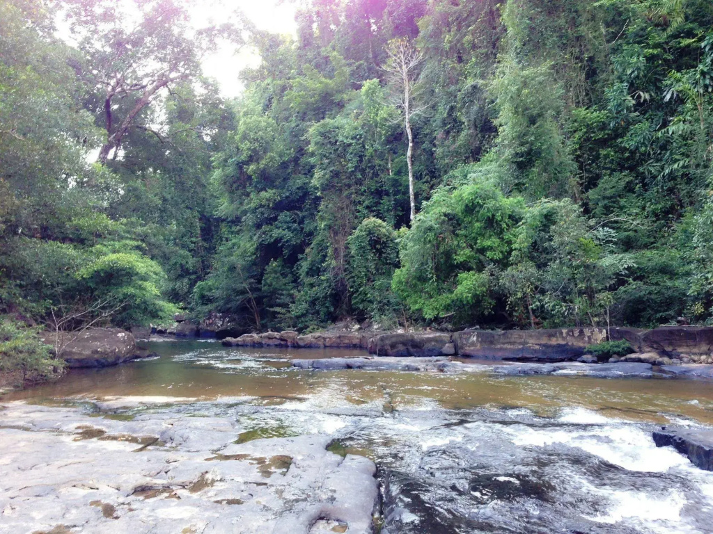 Jungle Koh Kood Resort - Général