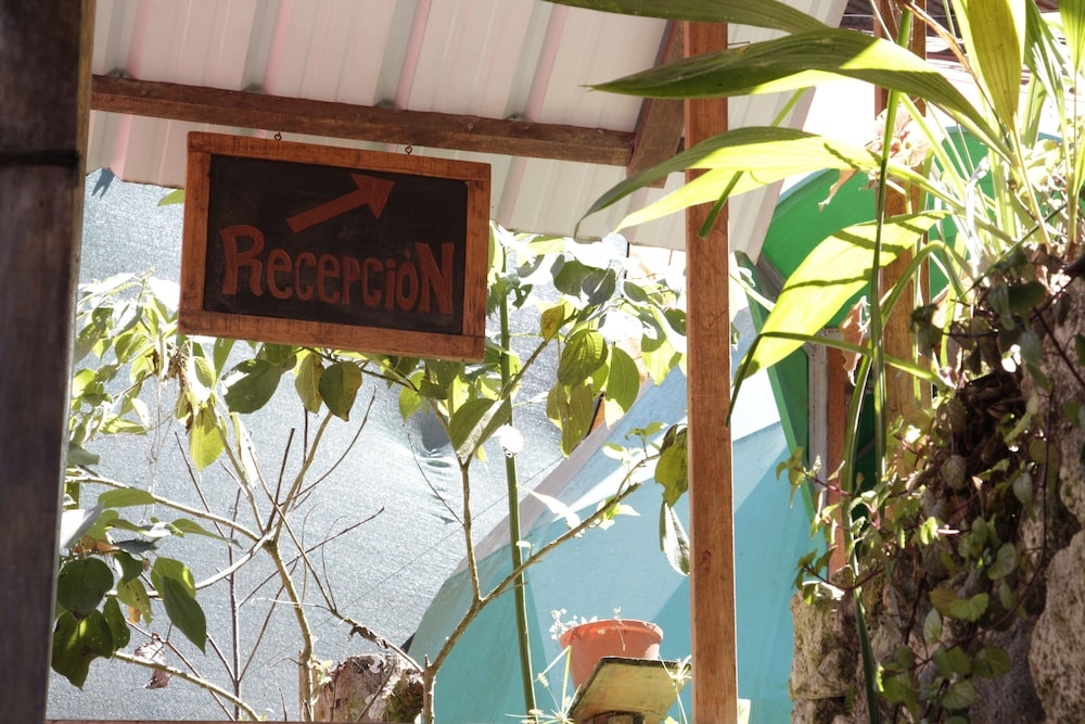tree house lodge — 3