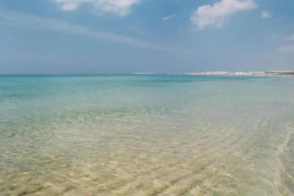 Beach & Waterfront