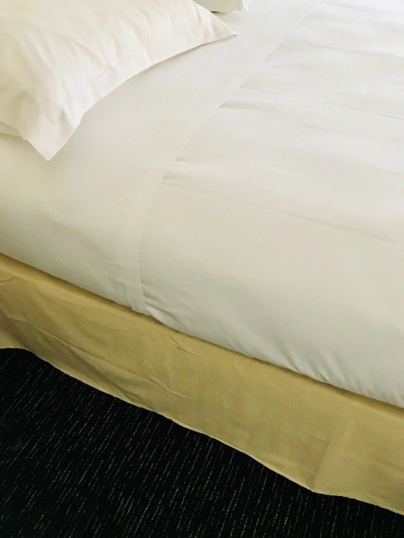 Hotel Festival - Chambres