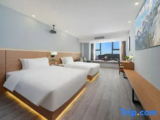 Standard Double room with city view (twin beds)