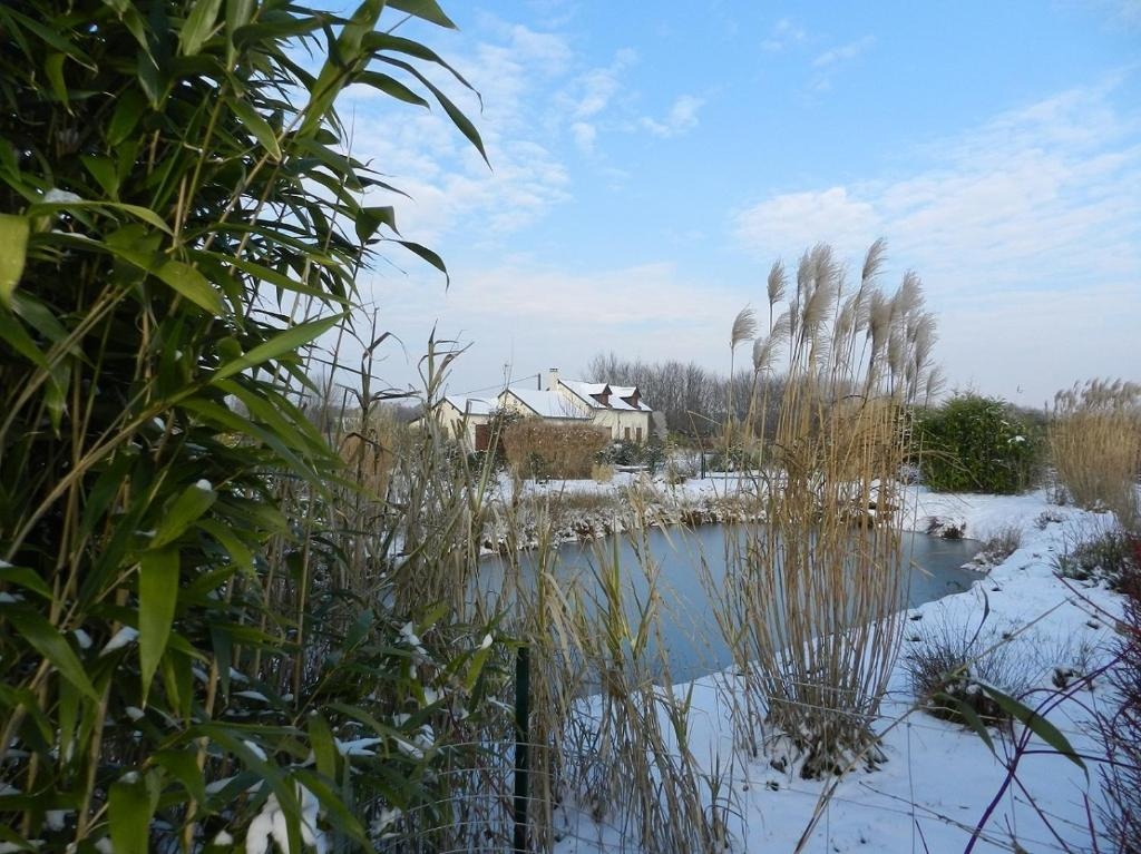 Gîte La Grenouillère