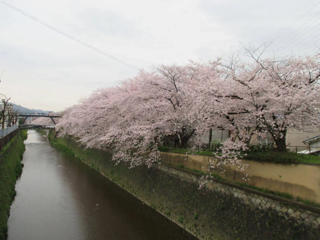 Estate Tokyu Nishikyogoku - Général