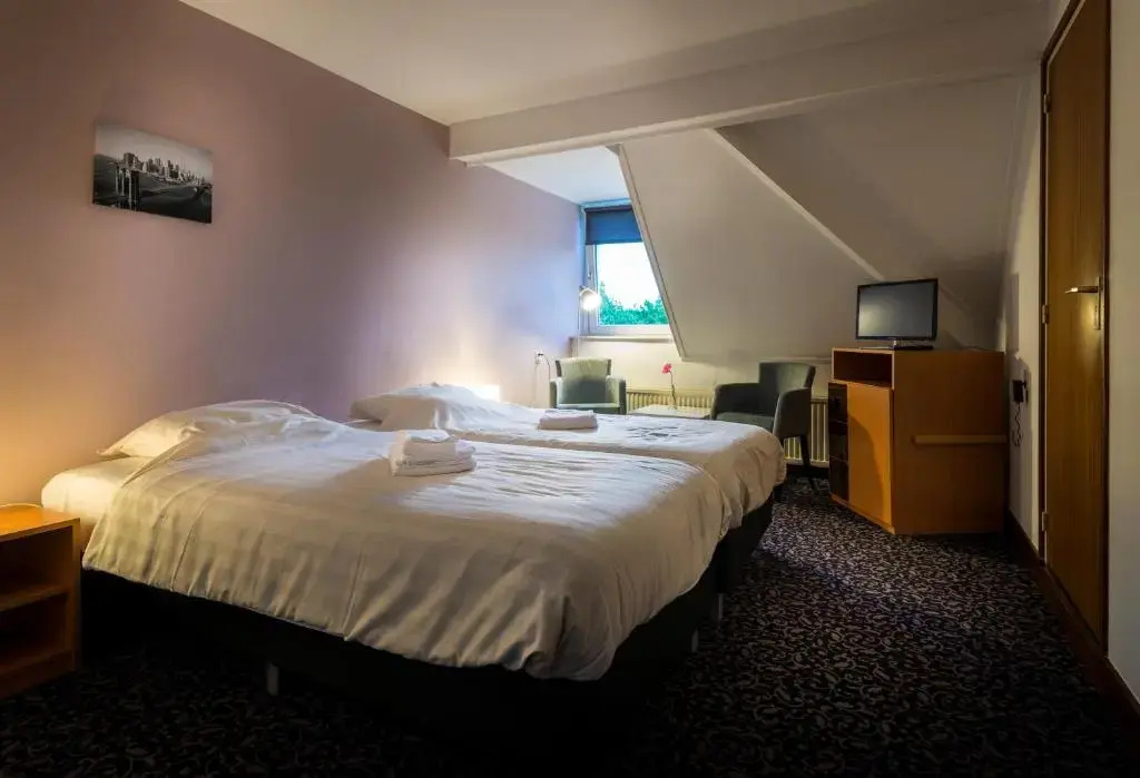 Standard Double room (twin beds)