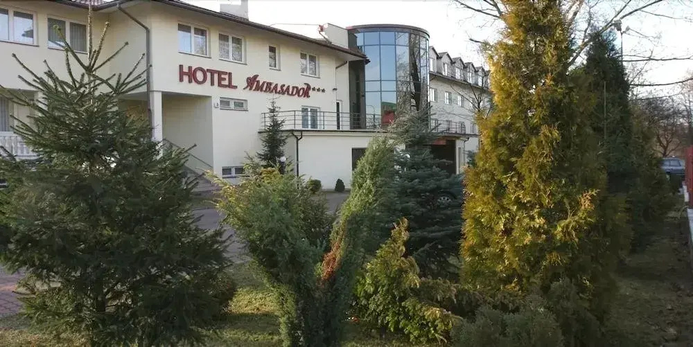 Ambasador Chojny Hotel Lodz — Lodz