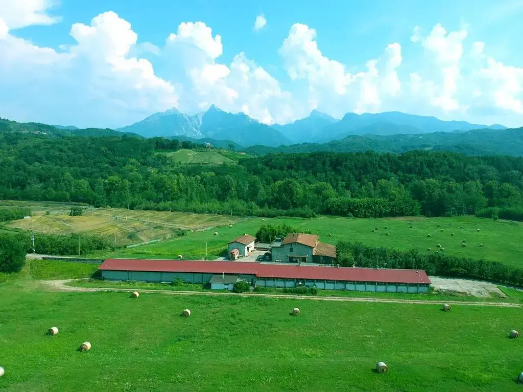 Standard Triple room with mountain view