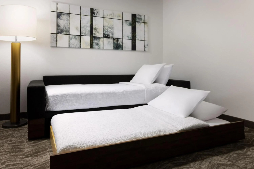 SpringHill Suites by Marriott Fresno - Général
