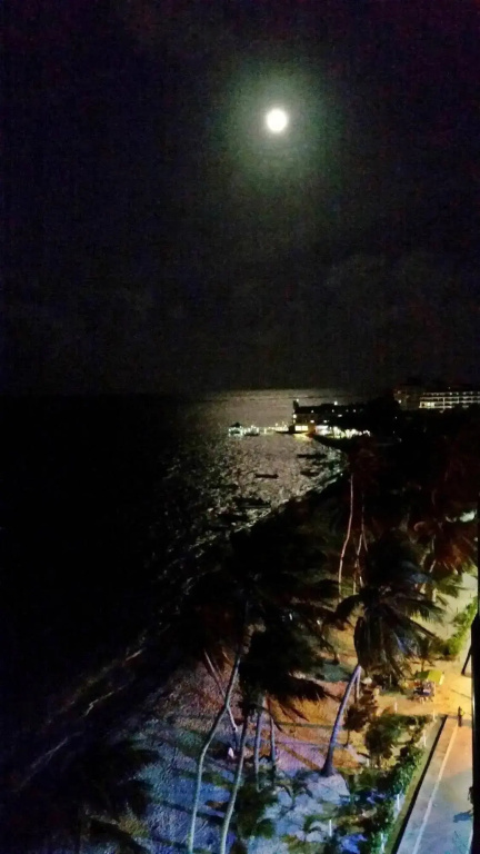 Hotel photo 46