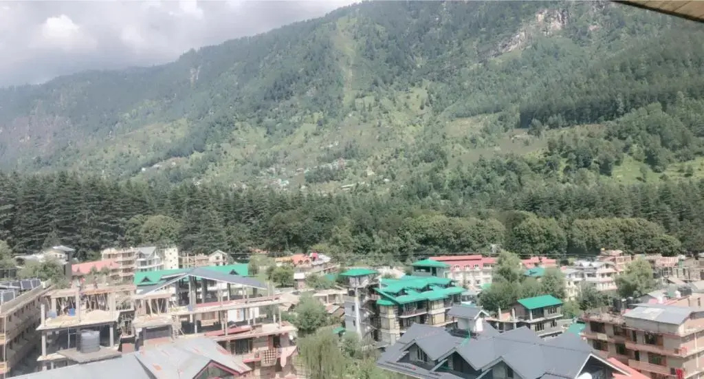 Hotel Hadimba Palace Manali - Chambres
