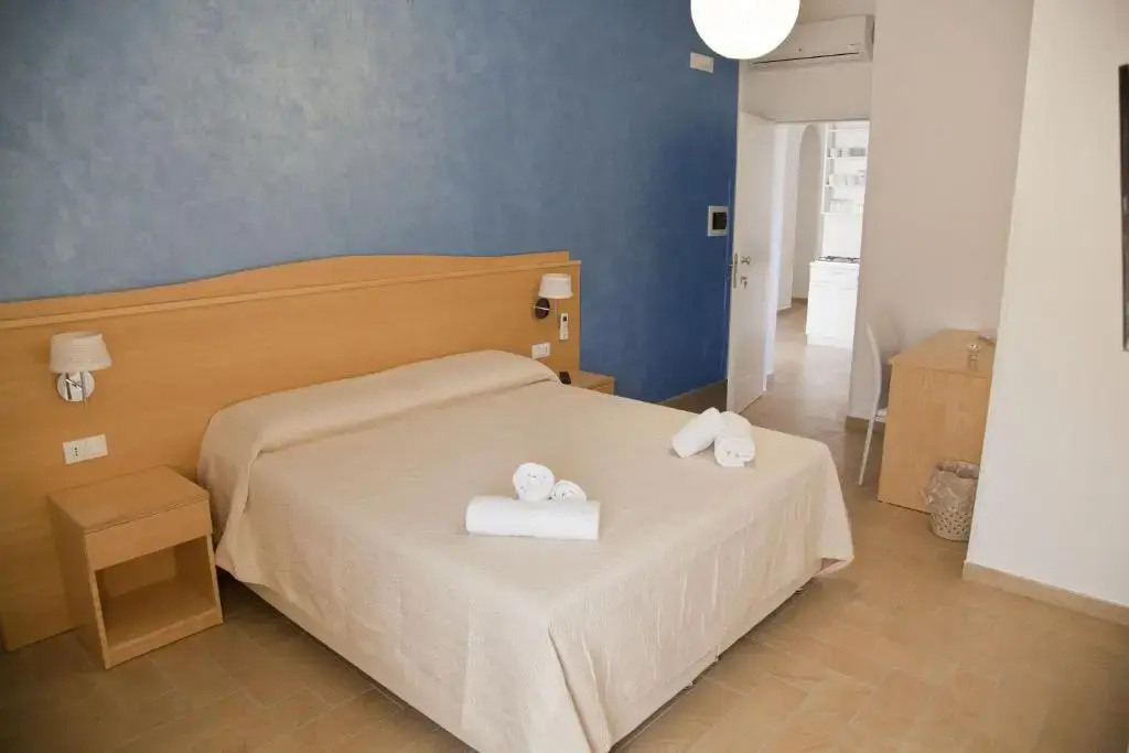 Standard Double room with mountain view (full double bed)