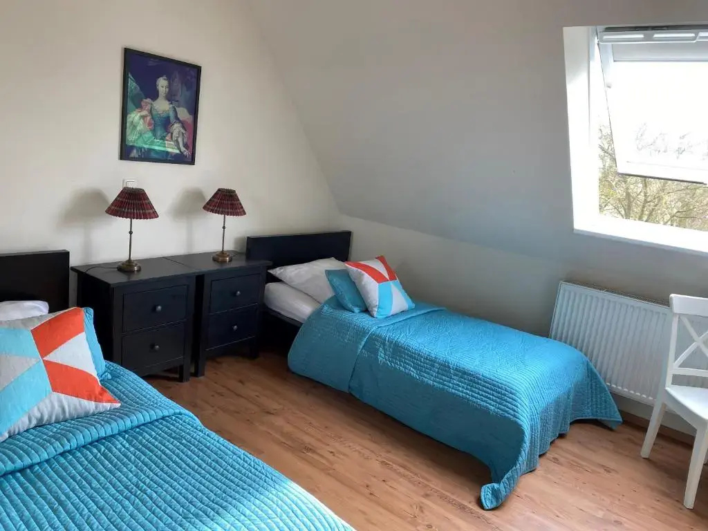 Standard Double room (twin beds)