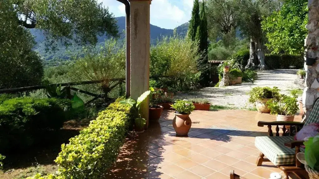 Agrestis Domus - фото 15