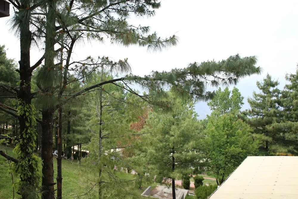 Chinar Family Resort - Chambres