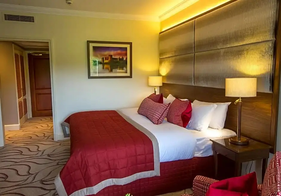 Deluxe Double Suite (full double bed)