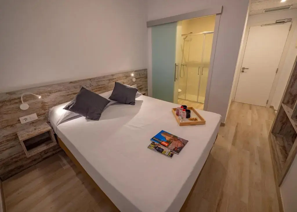 Standard Double room (twin beds)