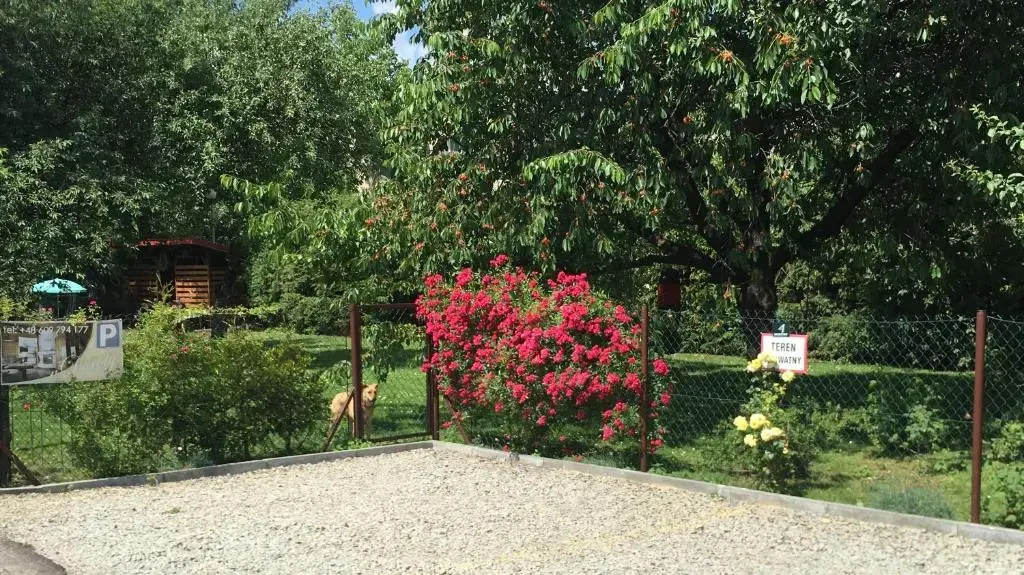Apartments Sanok