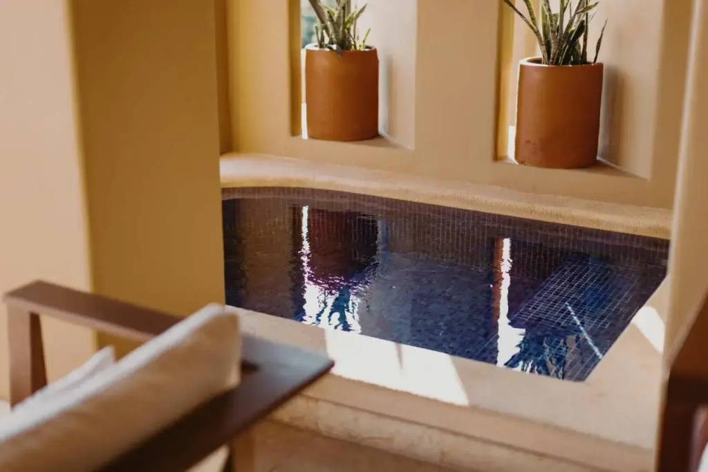 Cala de Mar Resort & Spa Ixtapa - Général