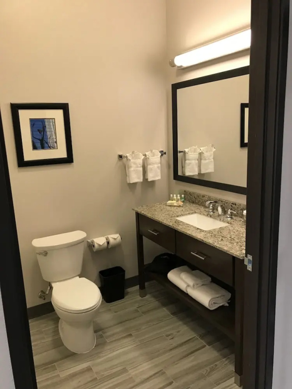 Holiday Inn & Suites Denver Tech Center-Centennial by IHG - Chambres