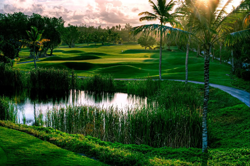 Barcelo Bavaro Palace, Баваро, Домініканська Республіка мініатюра 32