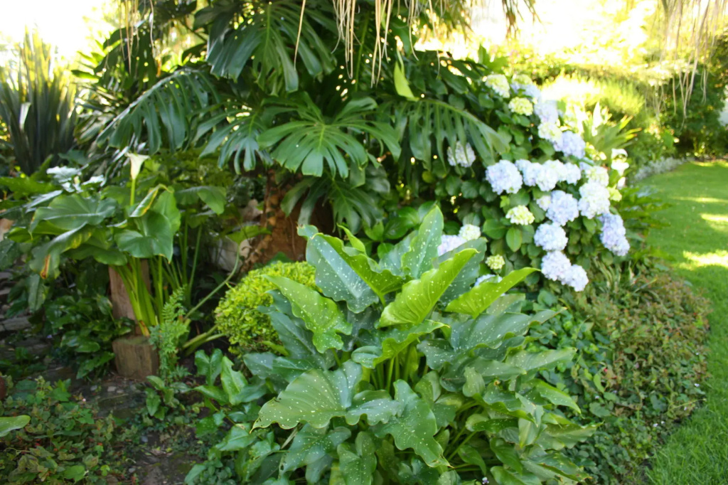 9 Fern Rest