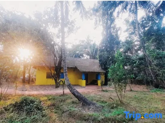 Little Yellow House • Insta: @little.yellow.house1943