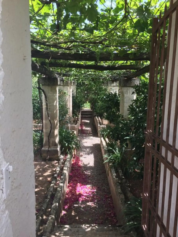 Masseria Relais del Cardinale - Général